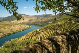 Douro
