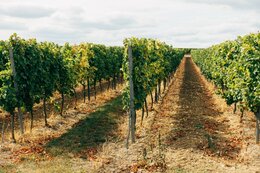 Peninsula de Sétubal