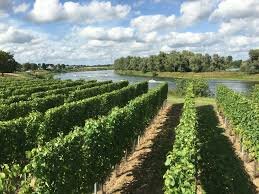 Maasvallei - Limburg