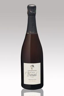 Champagne Alain Bernard Vintage 2013 premier cru