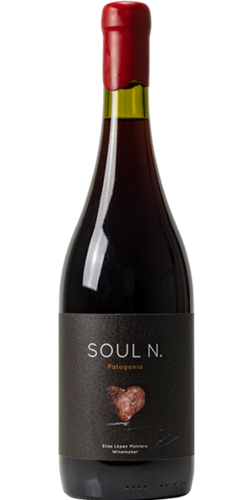 Verum Patagonia SOUL N pinot noir 2023