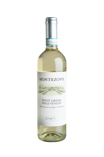 Pinot Grigio DOC 2024