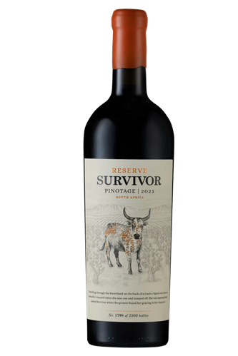 Survivor pinotage reserve 2022
