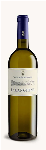 Villa Schinosa Falanghina 2024