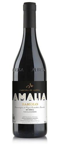 Amalia Barolo Bussia Fantini 2019