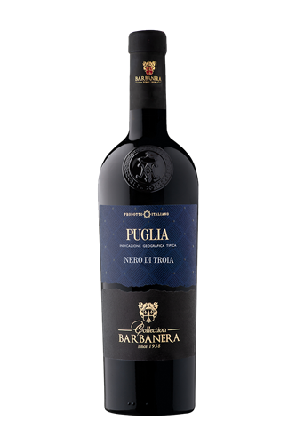 Nero di Troia Puglia 2024