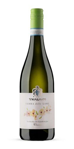 Verdicchio DOC Terre delle Lame 2024